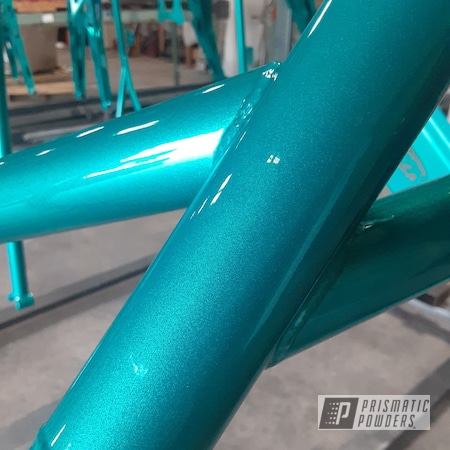 Powder Coating: Polaris RZR,side by side,XP Pro,HD TEAL UPB-1848,2 stage,1 Stage,Alien Silver PMS-2569,Trailer