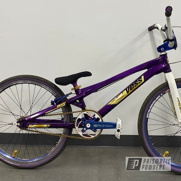 Lollypop Purple And Lollypop Grape Custom Bmx Bicycle
