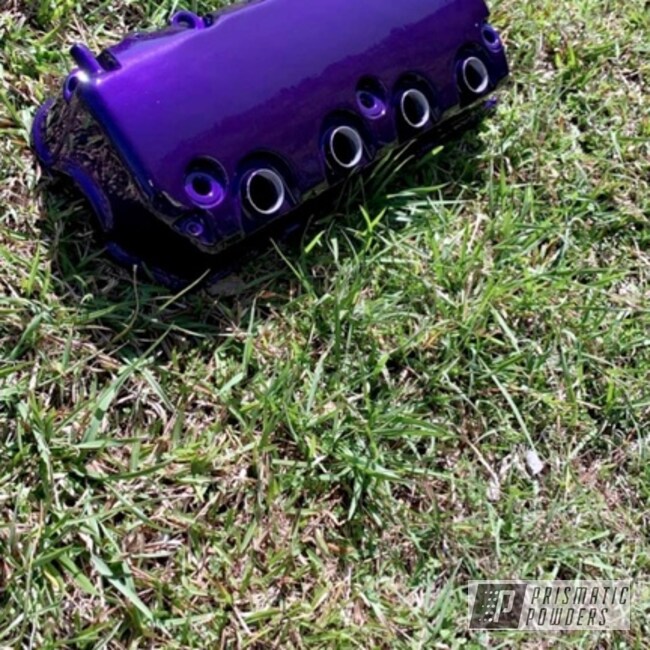 Powder Coated Valve Cover In Pps-4442 And Hss-2345