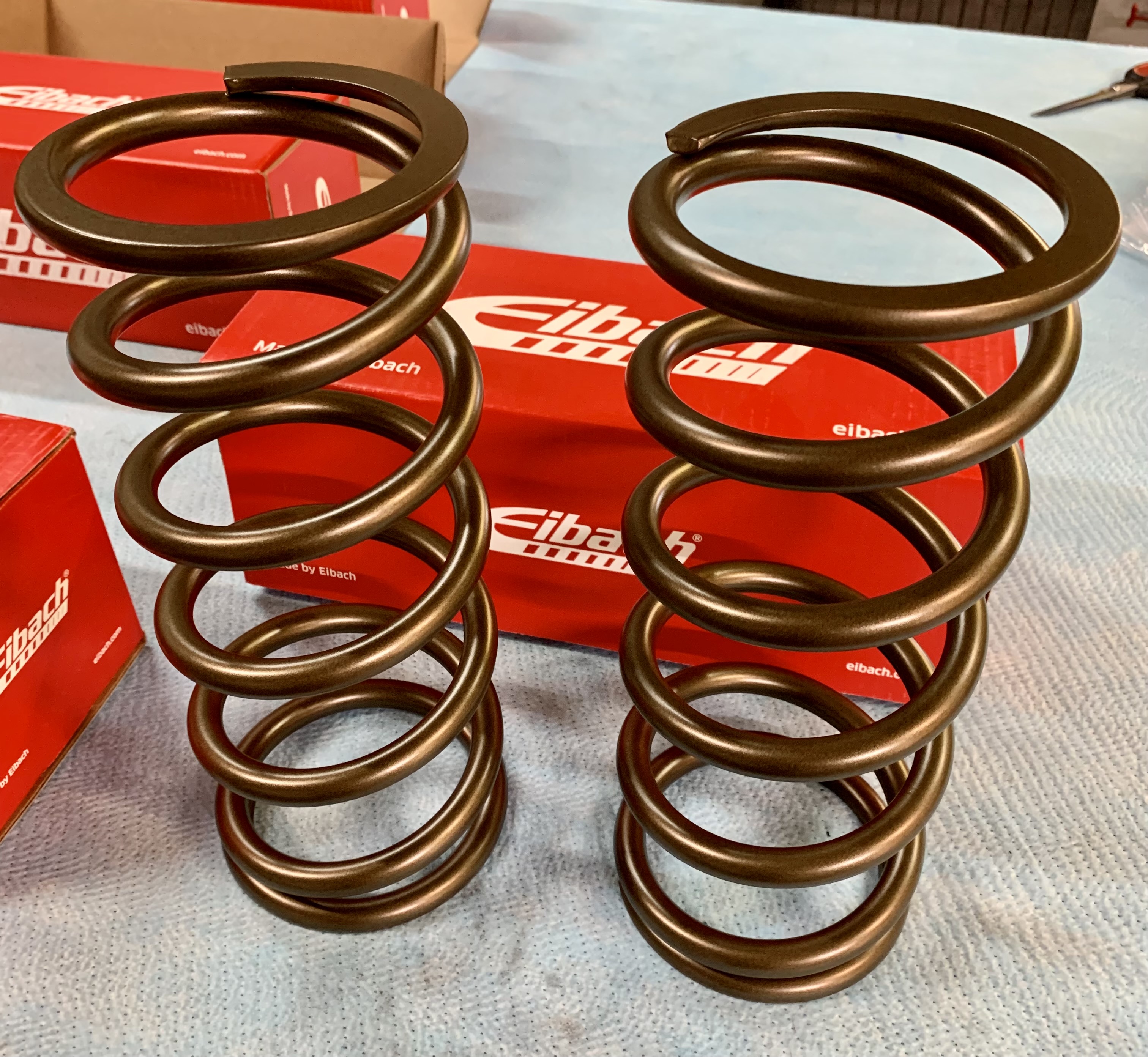 Powder Coated Eibach Springs | Prismatic Powders