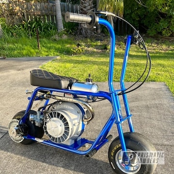 Powder Coated Illusion Smurf And Clear Vision Hustler Minibike