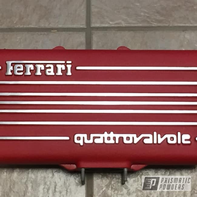 Powder Coated Valve Cover In Ews-0274