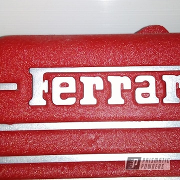 Ferrari Custom Intake And Throttle Body In Desert Red Wrinkle