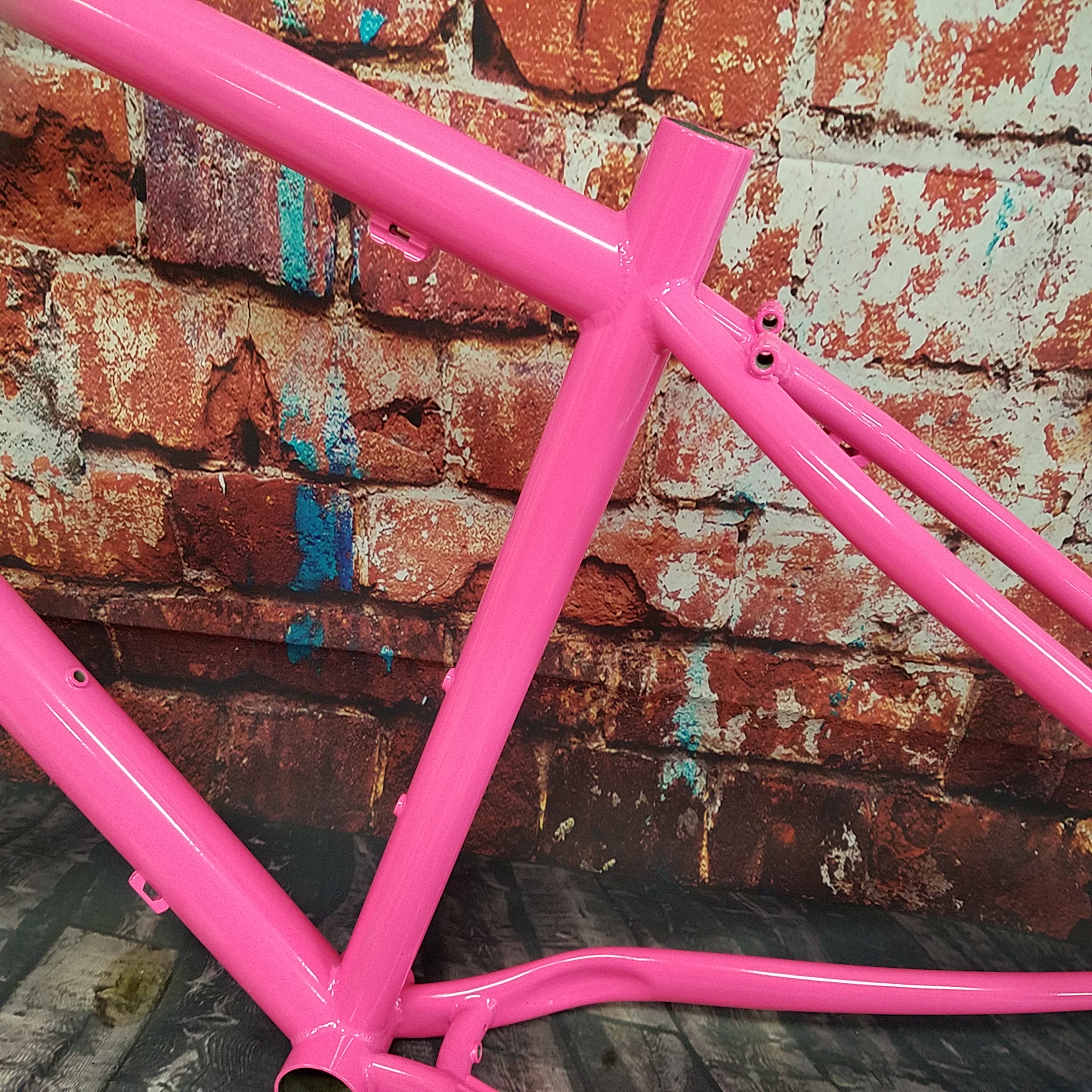 Powder Coated Bike Frame in Sassy | Prismatic Powders