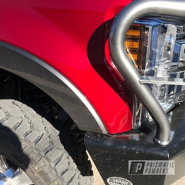 Powder Coated Ford Grille Guard