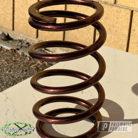 Powder Coating: RZR,Penny Chips PMB-6796,Clear Vision PPS-2974,Automotive,Coil Spring,SXS